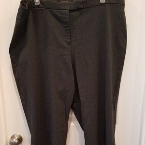 Lane Bryant pants 24W